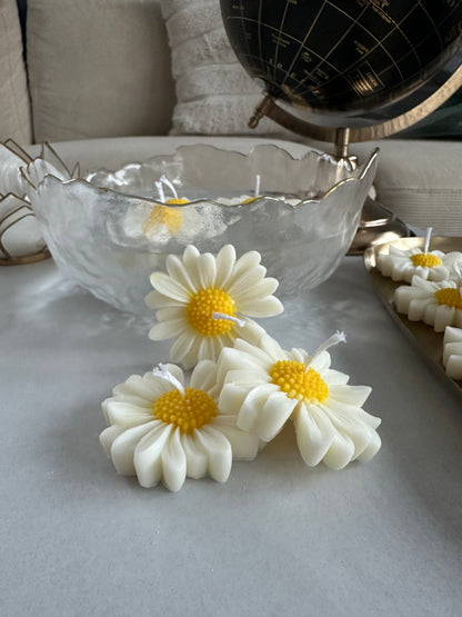 Gänseblümchen als Schwimm Kerze